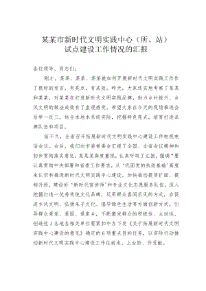 某某市新时代文明实践中心（所、站）试点建设工作情况的汇报.docx