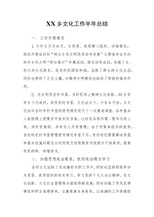 XX乡文化工作半年总结.docx