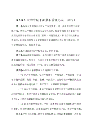 XXXX大学中层干部兼职管理办法试行.docx