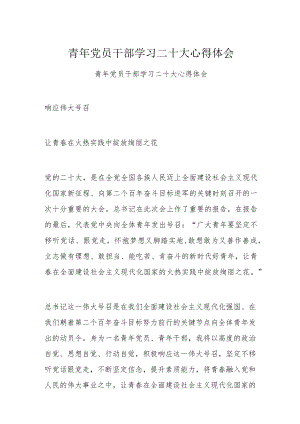 青年党员干部学习二十大心得体会.docx