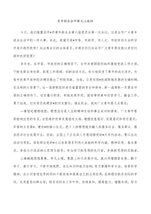 青年联合会开幕式上致辞.docx
