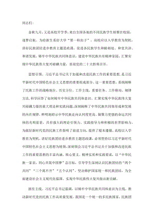 研讨发言：讲好民族团结进步的大思政课汇聚实现中华民族伟大复兴磅礴力量.docx