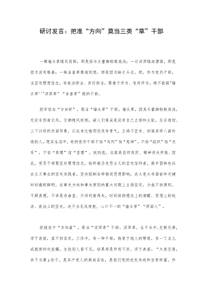 研讨发言：把准“方向”莫当三类“草”干部.docx