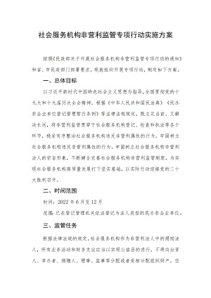 社会服务机构非营利监管专项行动实施方案.docx