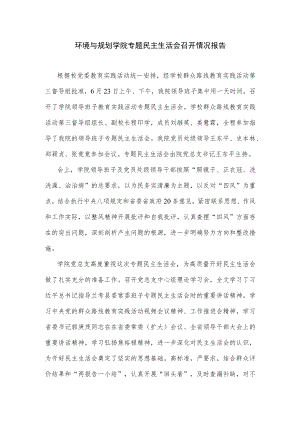 环境与规划学院专题民主生活会召开情况报告.docx