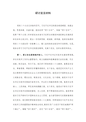 研讨发言材料.docx