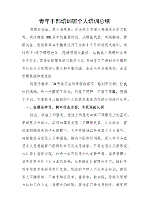 青年干部培训班个人培训总结.docx