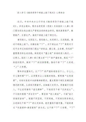 深入学习《推进领导干部能上能下规定》心得体会3篇.docx