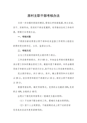 原村主职干部考核办法.docx