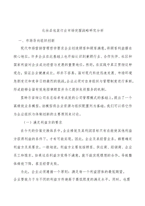 化妆品包装行业市场突围战略研究分析.docx