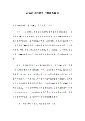 在审计谈话会议上的表态发言.docx