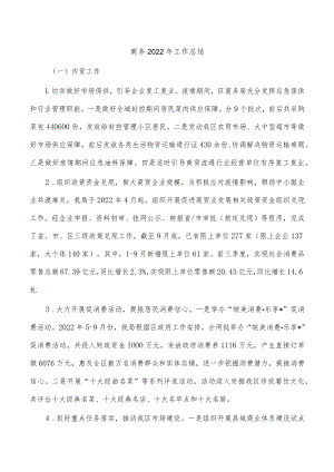 商务2022年工作总结.docx