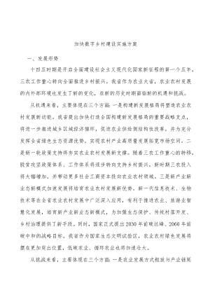 加快数字乡村建设实施方案.docx