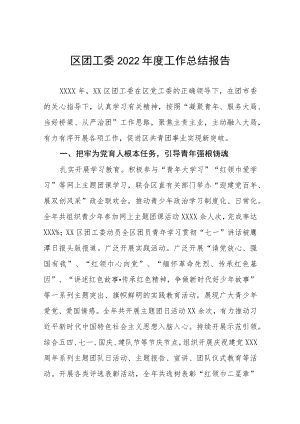 区团工委2022年度工作总结报告.docx