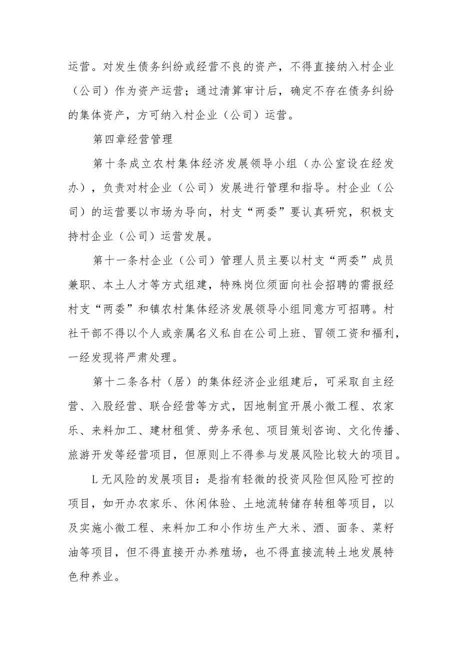 农村集体企业（公司）运行管理办法.docx_第3页