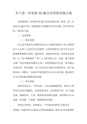 关于进一步加快5G融合应用的实施方案.docx