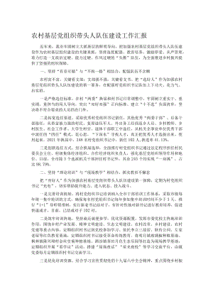 农村基层党组织带头人队伍建设工作汇报.docx