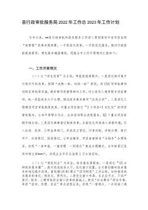 县行政审批服务局2022年工作总结2023年工作计划.docx