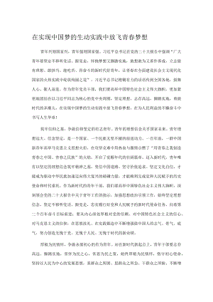 在实现中国梦的生动实践中放飞青春梦想.docx