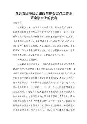 在共青团基层组织改革综合试点工作调研座谈会上的发言.docx