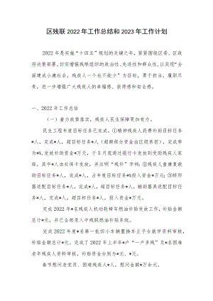 区县残联2022年度工作总结2023年工作计划.docx