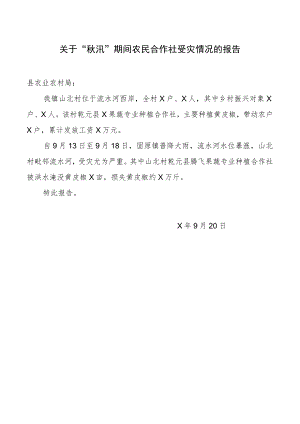 关于“秋汛”期间农民合作社受灾情况的报告.docx