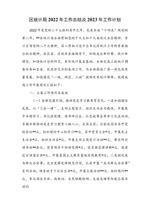 区统计局2022年工作总结及2023年工作计划.docx