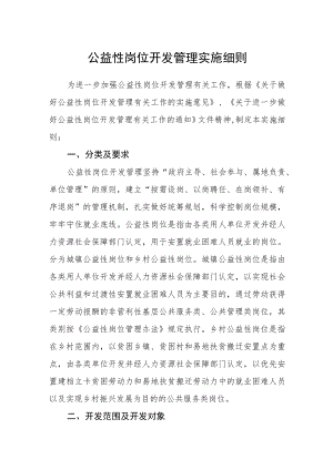 公益性岗位开发管理实施细则.docx