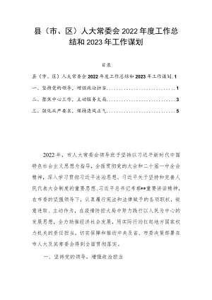 县（市、区）人大常委会2022年度工作总结和2023年工作谋划.docx