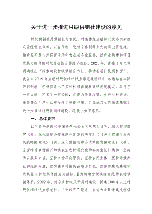 关于进一步推进村级供销社建设的意见.docx