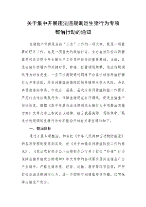 关于集中开展违法违规调运生猪行为专项整治行动的通知.docx