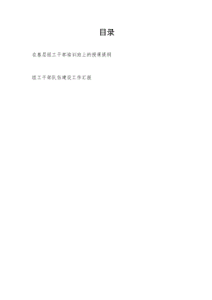 在基层组工干部培训班上的授课提纲和区组工干部队伍建设工作汇报.docx