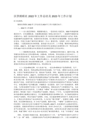 区供销联社2022年工作总结及2023年工作计划.docx