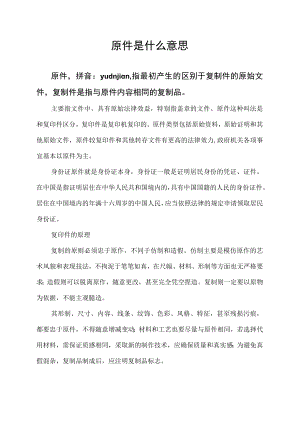 原件是什么意思.docx