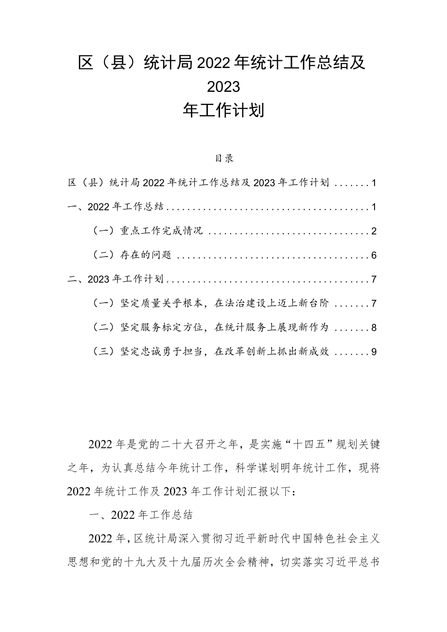 区（县）统计局2022年统计工作总结及2023年工作计划.docx_第1页