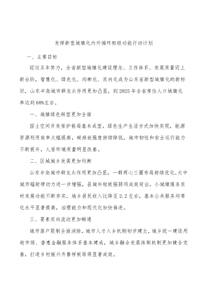 发挥新型城镇化内外循环枢纽功能行动计划.docx