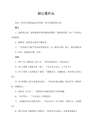 初心是什么.docx