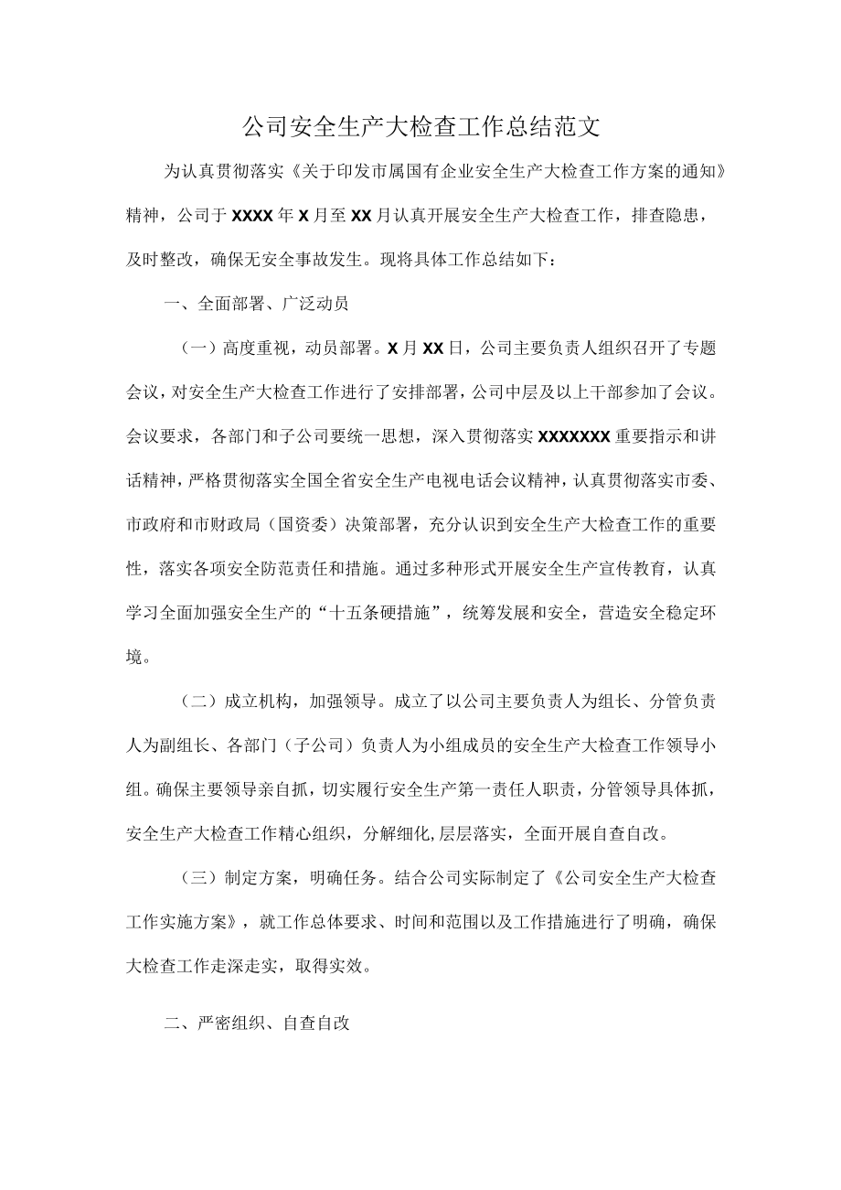公司安全生产大检查工作总结范文.docx_第1页