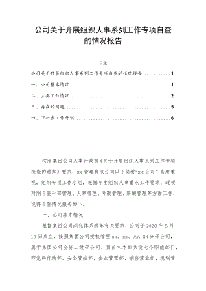 公司关于开展组织人事系列工作专项自查的情况报告.docx