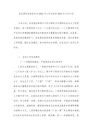 县区发改委2022年工作总结和2023年工作计划.docx