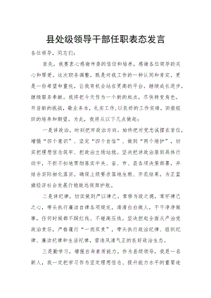 县处级领导干部任职表态发言.docx