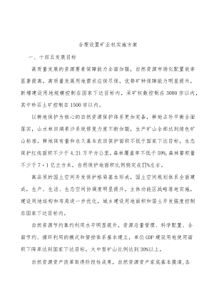 合理设置矿业权实施方案.docx