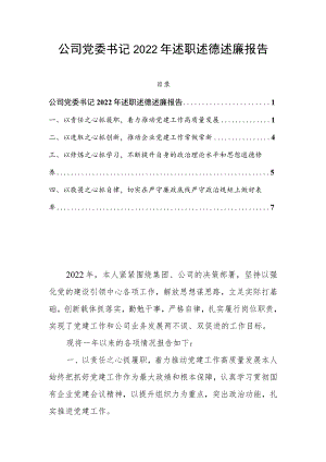 公司党委书记2022年述职述德述廉报告.docx