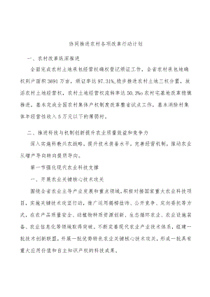 协同推进农村各项改革行动计划.docx