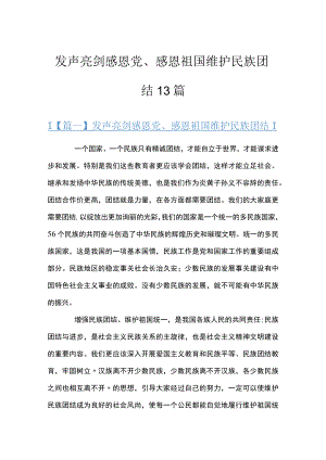 发声亮剑感恩党、感恩祖国维护民族团结13篇.docx