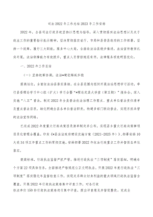 司法2022年工作总结2023年工作安排.docx