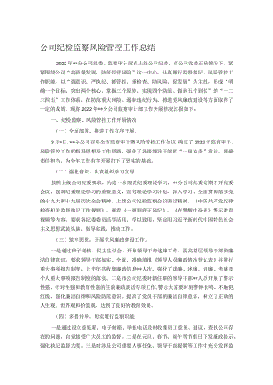 公司纪检监察风险管控工作总结.docx