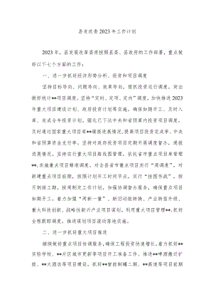 县发改委2023年工作计划.docx