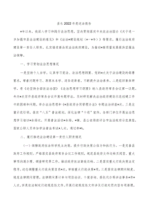 县长2022年度述法报告.docx