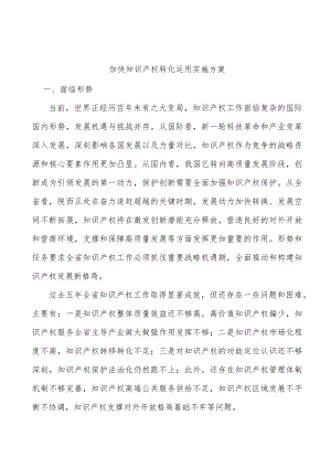 加快知识产权转化运用实施方案.docx